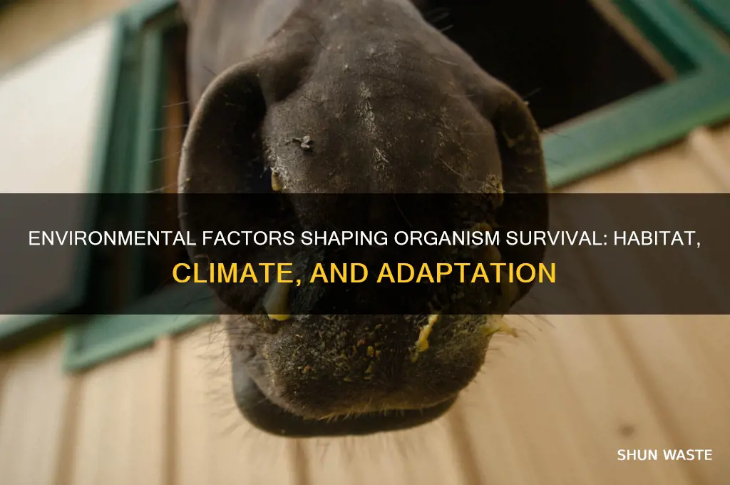 how does the environment affect where an organism can survive