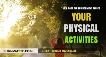 Environmental Impact: Shaping Your Physical Activities and Fitness Levels