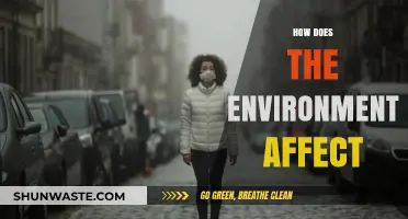 How the Environment Shapes Our Health, Economy, and Future