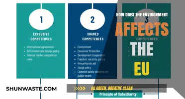 Environmental Impacts on EU Policies, Economy, and Sustainability Initiatives