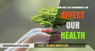 Environmental Impact: How Surroundings Shape Our Health and Well-being