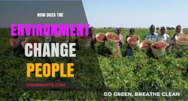 How Surroundings Shape Behavior: Exploring Environment's Impact on Human Change