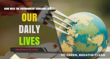 Environmental Concerns: Impacting Daily Life, Health, and Future Choices