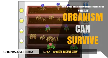 Environmental Factors Shaping Organism Survival: Habitat, Climate, and Adaptation
