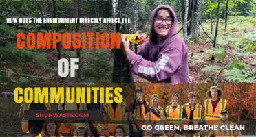 Environmental Influences on Community Composition: Exploring Direct Impacts and Dynamics