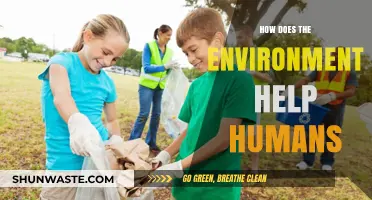 Nature's Lifeline: How the Environment Sustains and Enriches Human Life