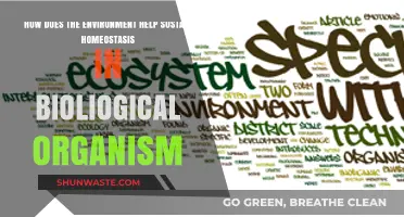 Environmental Balance: Sustaining Biological Homeostasis in Ecosystems