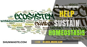 Nature's Balance: How the Environment Sustains Homeostasis in Ecosystems