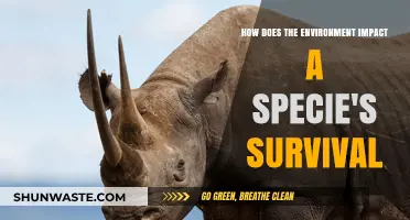 Environmental Factors Shaping Species Survival: A Comprehensive Exploration