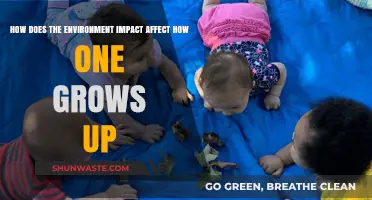 Environment's Influence: Shaping Childhood, Molding Futures, Defining Lives