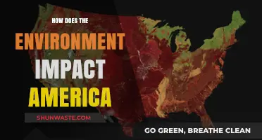 Environmental Impact on America: Shaping Health, Economy, and Future
