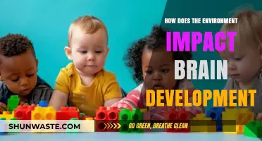 Environmental Influences on Brain Development: Unraveling Nature's Impact