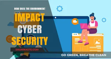 Environmental Factors Shaping Cyber Security: Risks, Challenges, and Solutions