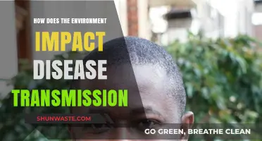 Environmental Factors and Their Role in Spreading Diseases