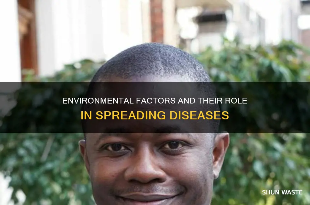 how does the environment impact disease transmission