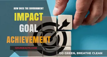 Environmental Influences: Shaping Success and Goal Achievement Strategies