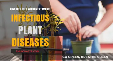 Environmental Factors Shaping the Spread of Plant Pathogens