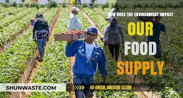 Environmental Factors Shaping Our Food Supply: Challenges and Solutions