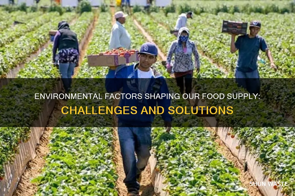 how does the environment impact our food supply
