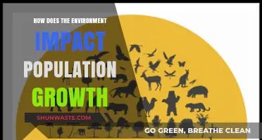 Environmental Factors Shaping Population Growth: Challenges and Opportunities