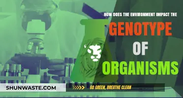 Environmental Influences on Genotype: Unraveling Nature's Impact on Organisms