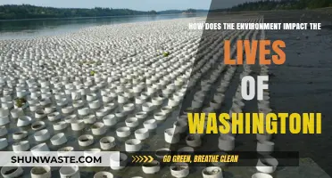 Washington's Environment: Shaping Lives, Communities, and Daily Realities