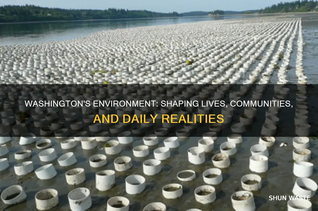 how does the environment impact the lives of washingtonians