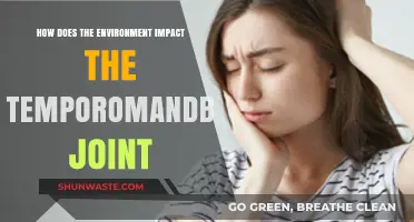 Environmental Factors and Their Influence on TMJ Health Explained