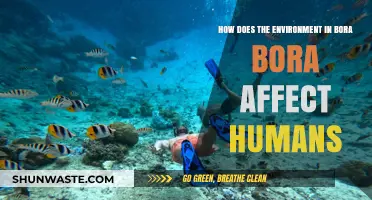 Bora Bora's Environment: Impacts on Human Health and Well-being