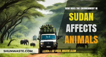 Sudan's Diverse Ecosystems: Impacts on Wildlife and Animal Survival