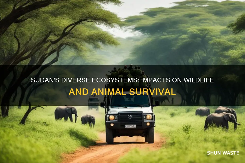 how does the environment in sudan affects animals