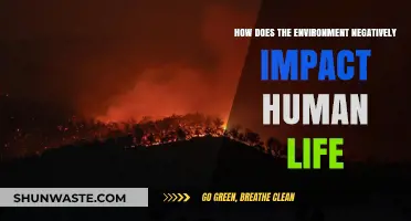 Environmental Hazards: How Nature's Wrath Threatens Human Health and Survival