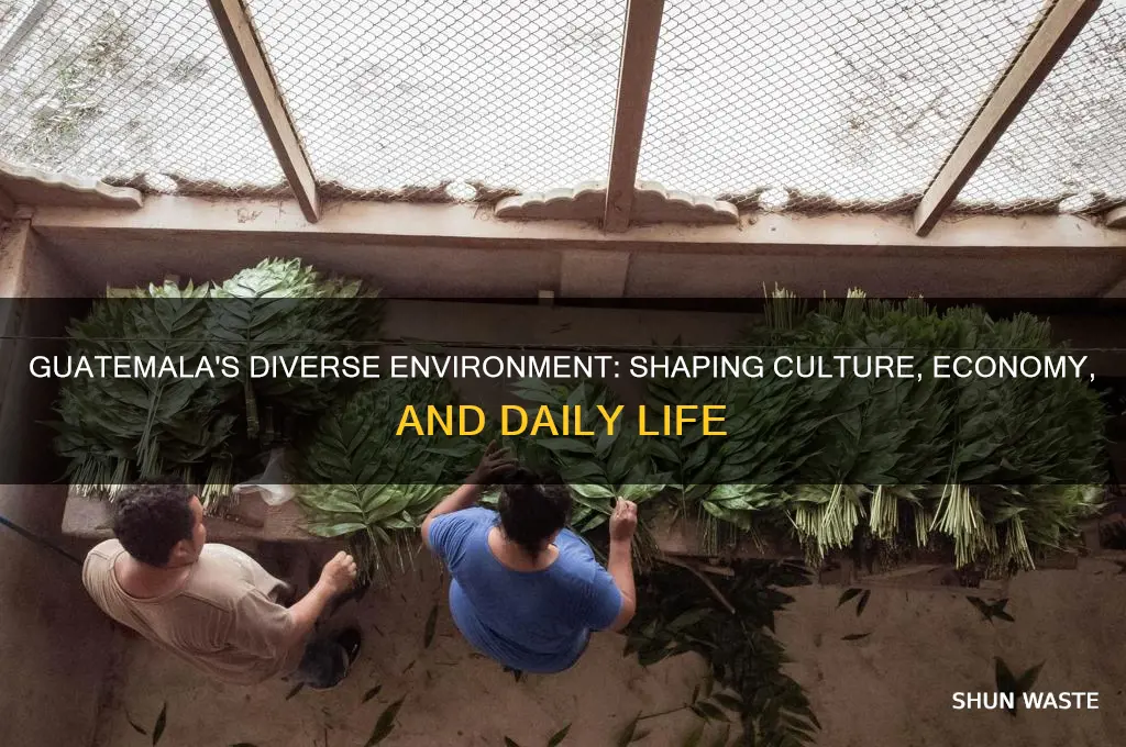 how does the environment of guatemala affect life