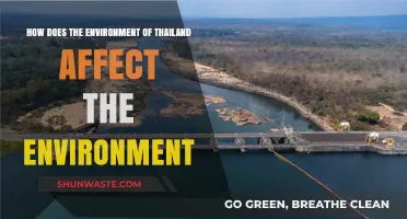 Thailand's Unique Environment: Impacts and Consequences on Its Ecosystem