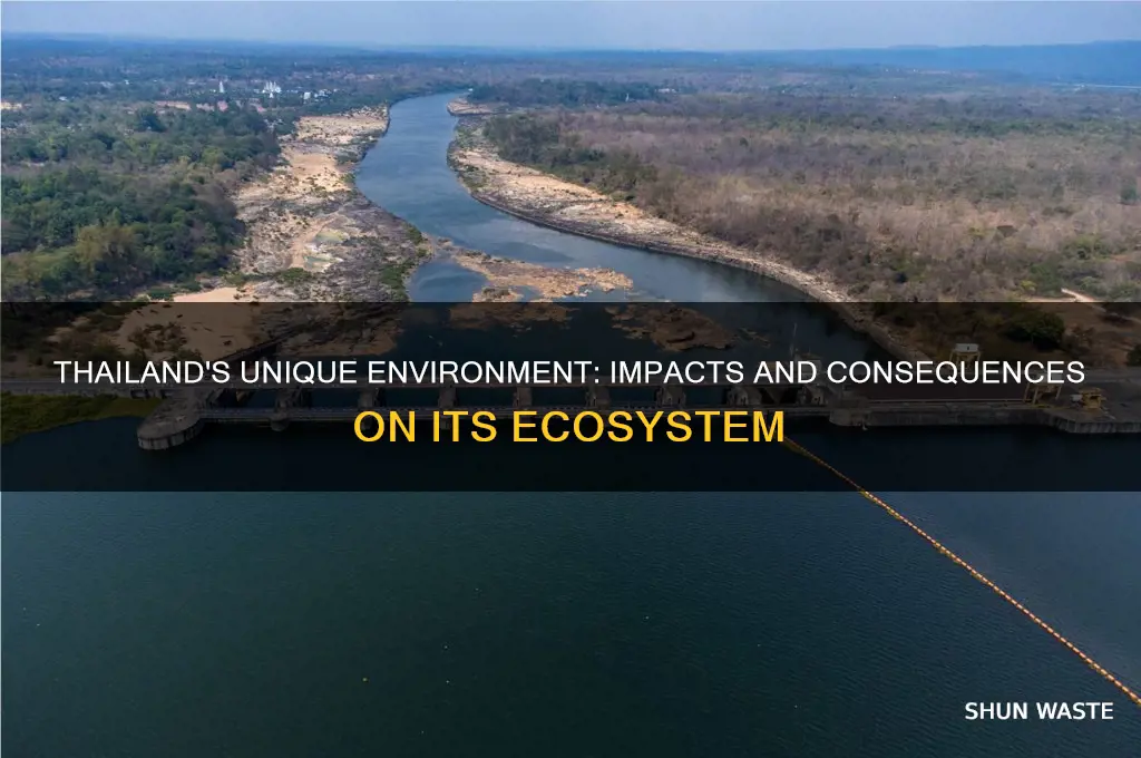 how does the environment of thailand affect the environment