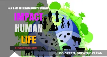 Nature's Embrace: How the Environment Enhances Human Well-being and Health