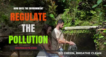 Nature's Balancing Act: Controlling Pollution