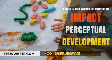 Environment's Role in Shaping Perceptual Development: Insights and Impacts