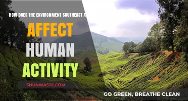 Southeast Asia's Environment: Shaping Human Activities and Livelihoods