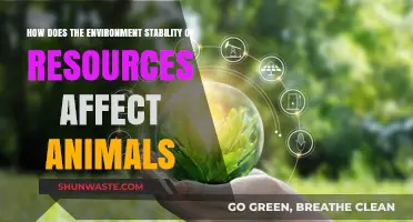 Environmental Stability of Resources: Impact on Animal Survival and Behavior