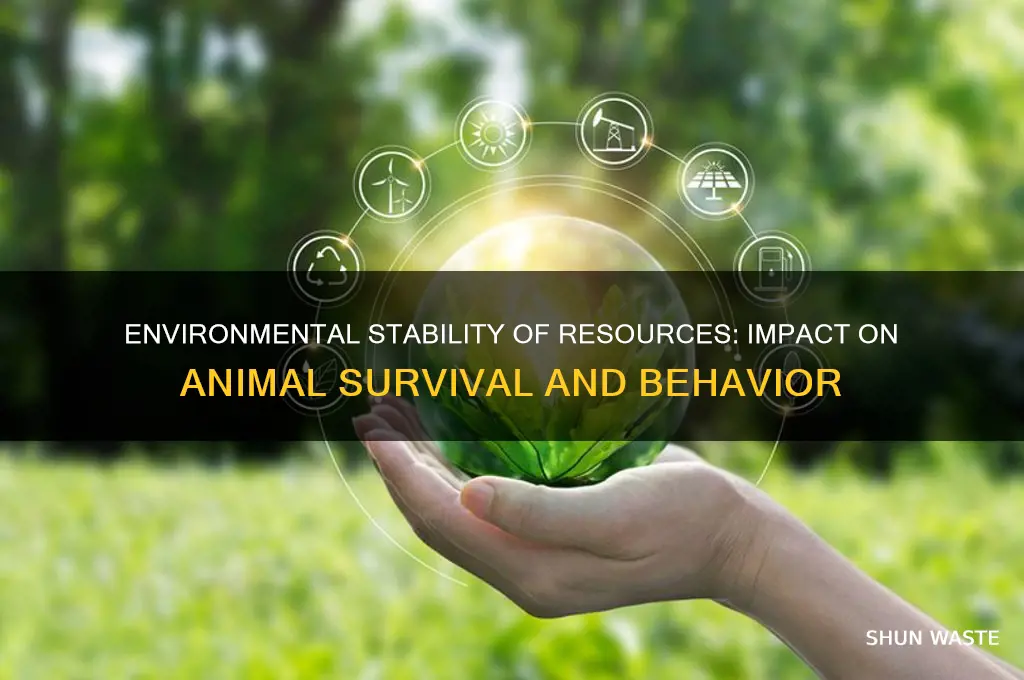 how does the environment stability of resources affect animals
