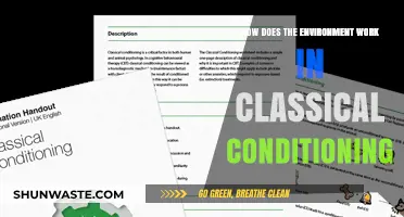 Understanding Classical Conditioning: The Role and Function of the Environment