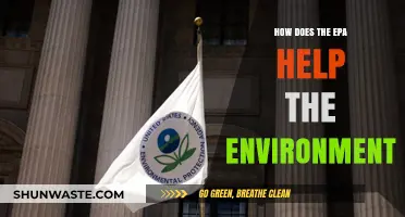 EPA's Role: Protecting Our Environment Through Regulation and Conservation