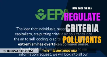 EPA's Criteria Pollutants: Regulation and Control