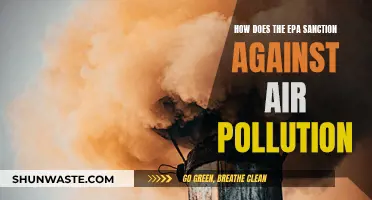 EPA's Air Pollution Sanctions: Strategies and Impact