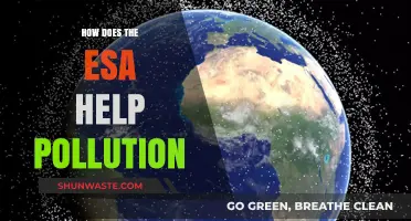 ESA's Fight Against Pollution: Strategies and Impact