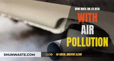 Air Pollution: EU Strategies and Solutions