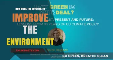 EU Environmental Policies: Strategies for a Sustainable and Greener Future