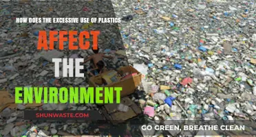 Plastic Overuse: Devastating Environmental Impacts and Urgent Solutions Needed