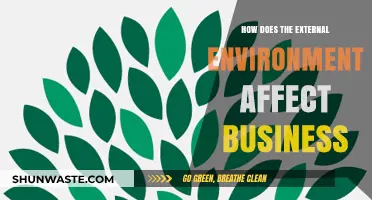 Navigating External Forces: How Environment Shapes Business Success and Strategy